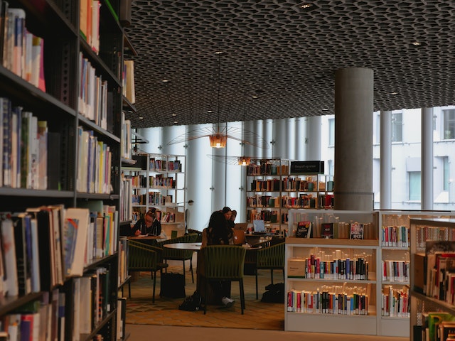 people sitting in library